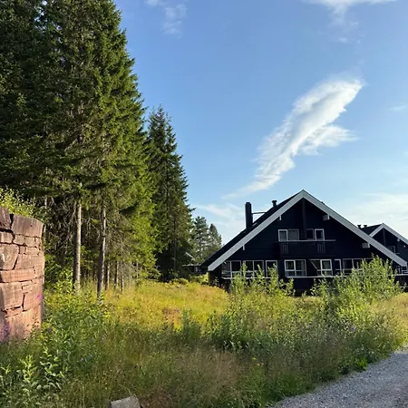 Med Sentral Beliggenhet *