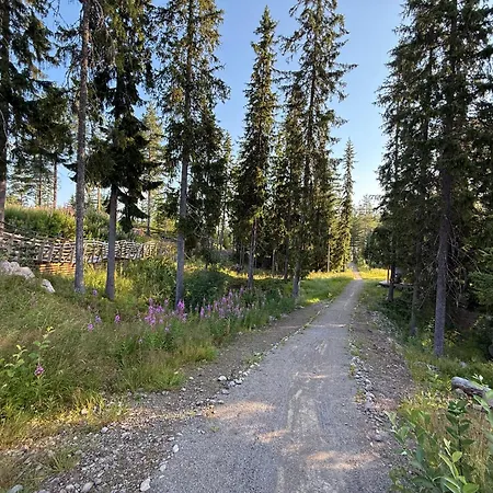 Med Sentral Beliggenhet Trysil