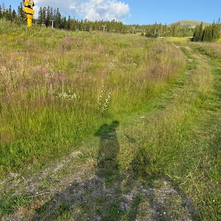 Med Sentral Beliggenhet بيت للعطل *